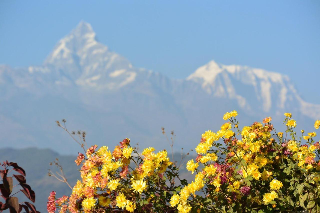 Siddhartha Garden Ayurveda Hotel Pokhara Bagian luar foto