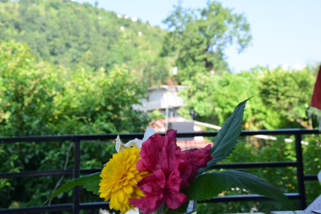 Siddhartha Garden Ayurveda Hotel Pokhara Bagian luar foto